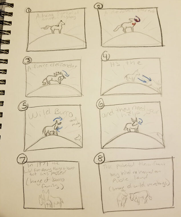 Wild Wind Equine Promo Storyboard showing 8 sketches of images for the video